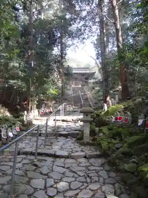 金剛輪寺(滋賀県)