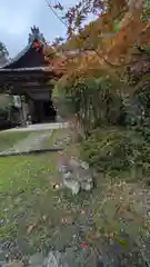 金蔵寺(京都府)