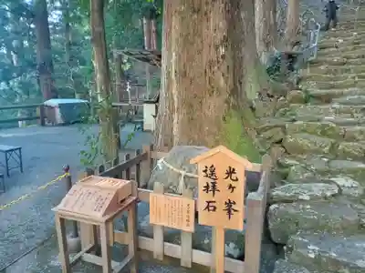 飛瀧神社(熊野那智大社別宮)(和歌山県)