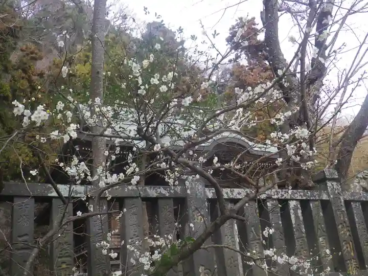 御霊神社の自然
