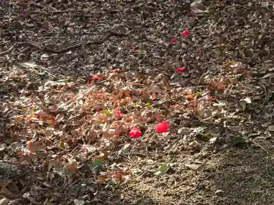 廣峯神社(兵庫県)