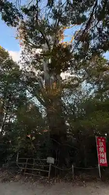 佐麻久嶺神社(福島県)