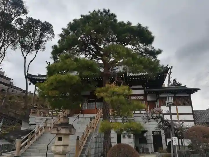 地福寺の本殿・本堂