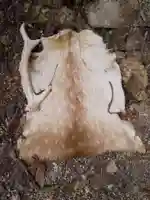 観音正寺(滋賀県)