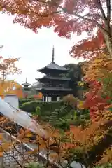 當麻寺(奈良県)