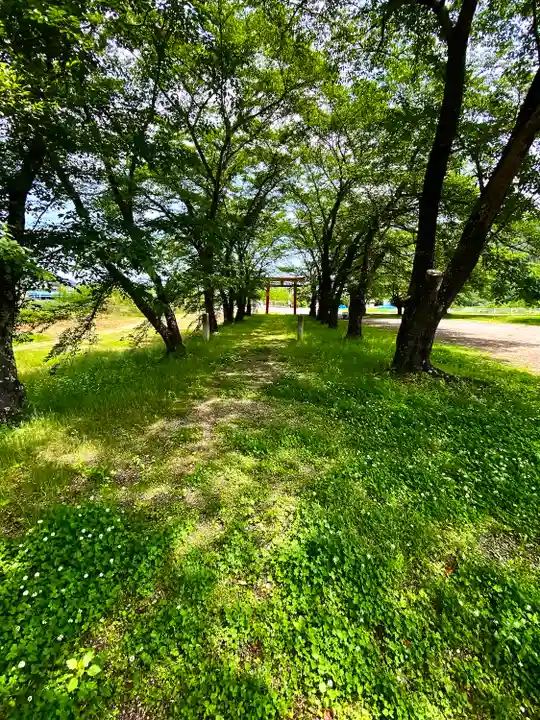 子檀嶺神社(長野県)
