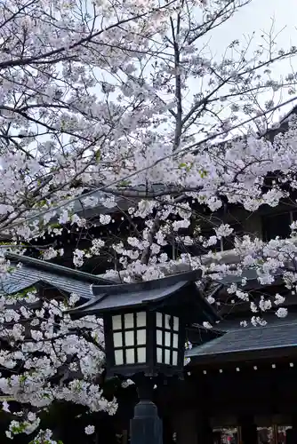 三嶋大社(静岡県)