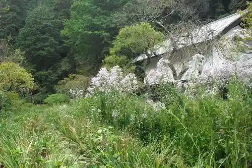 東慶寺の景色