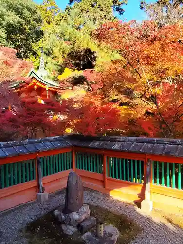 毘沙門堂門跡(京都府)