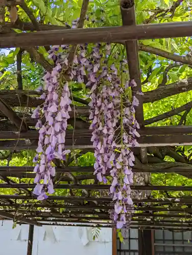 六孫王神社(京都府)