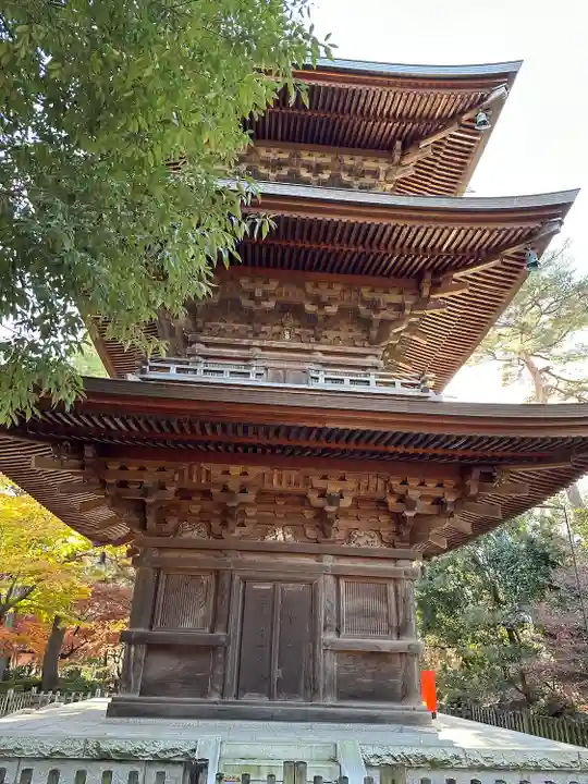 豪徳寺(東京都)