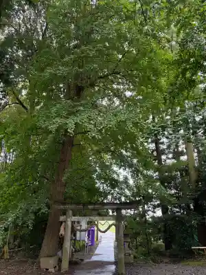 下野 星宮神社(栃木県)