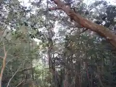 側鷹神社の自然