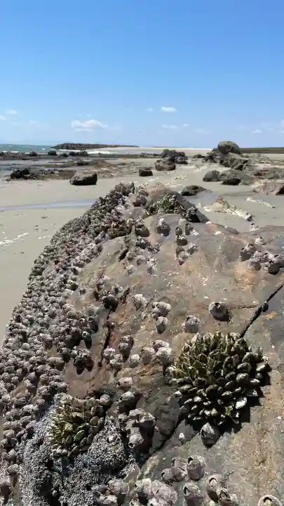 つぶてヶ浦鳥居(伊勢神宮遥拝所)(愛知県)