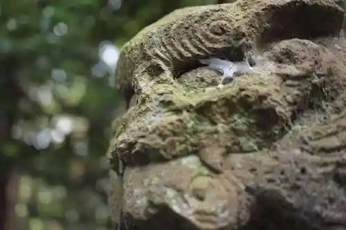 唐子神社の狛犬