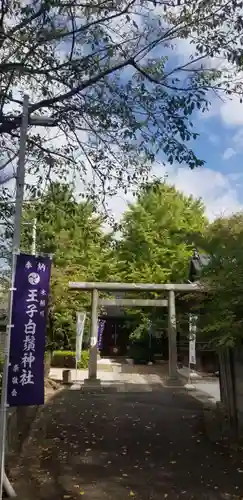 王子白髭神社の鳥居