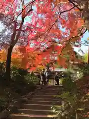 常寂光寺(京都府)