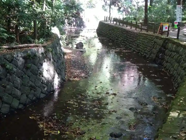 明王院(満願寺別院)の自然