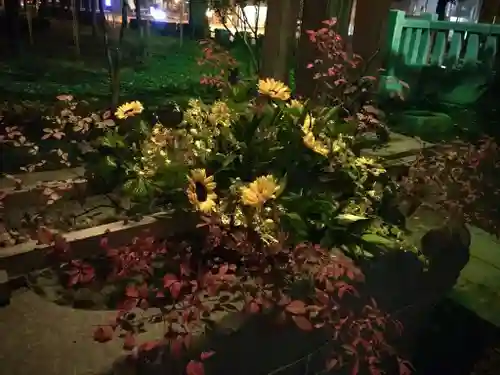 彌彦神社　(伊夜日子神社)の手水舎