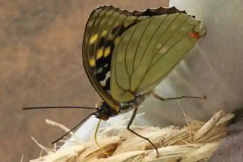 国宝 大法寺(長野県)