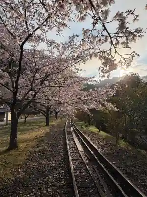 船場八幡神社の{uncategorized: "未分類", other: "その他", undefined: "問題あり", building: "その他建物", grave: "お墓", sacred_gate: "鳥居", guardian: "狛犬", statue: "像", buddha: "仏像", history: "歴史", nature: "自然", garden: "庭園", animal: "動物", pagoda: "塔", temizu: "手水舎", mountain_gate: "山門・神門", sanctuary: "本殿・本堂", subordinate: "末社・摂社", art: "芸術", scenery: "景色", jizo: "地蔵", ema: "絵馬", goshuin: "御朱印", omikuji: "おみくじ", items: "授与品その他", amulet: "お守り", goshuincho: "御朱印帳", eats: "食事", festival: "お祭り", votive_dance: "神楽", shichigosan: "七五三参", wedding: "結婚式", experience: "体験その他", initially: "初詣", around: "周辺", anti_infection: "感染症対策"}