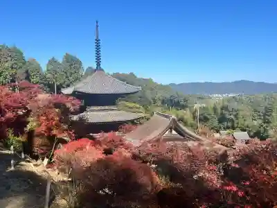 常樂寺(滋賀県)