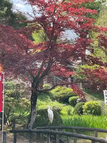 眞覚寺(東京都)