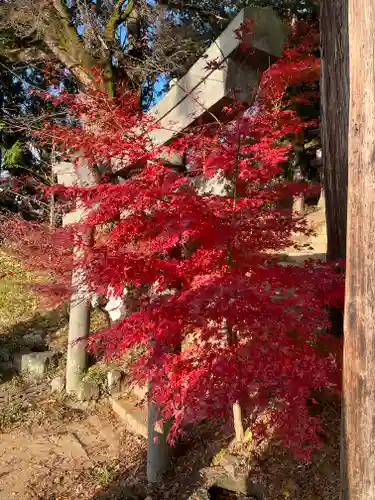 若宮八幡神社の自然