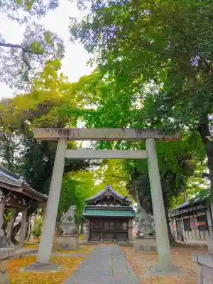神明社（下津本郷）の鳥居