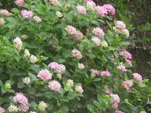 御霊神社の自然
