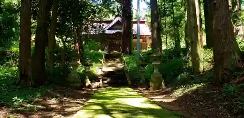 諏訪神社の自然