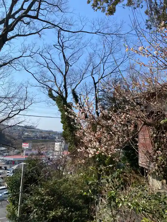 思金神社の景色