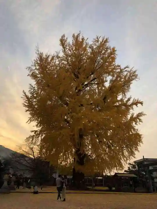 丹生酒殿神社の自然