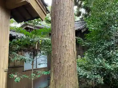 南宮御旅神社(岐阜県)