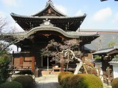 慈氏院(京都府)