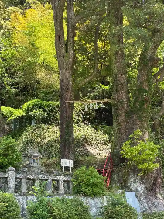 土肥神社の{uncategorized: "未分類", other: "その他", undefined: "問題あり", building: "その他建物", grave: "お墓", sacred_gate: "鳥居", guardian: "狛犬", statue: "像", buddha: "仏像", history: "歴史", nature: "自然", garden: "庭園", animal: "動物", pagoda: "塔", temizu: "手水舎", mountain_gate: "山門・神門", sanctuary: "本殿・本堂", subordinate: "末社・摂社", art: "芸術", scenery: "景色", jizo: "地蔵", ema: "絵馬", goshuin: "御朱印", omikuji: "おみくじ", items: "授与品その他", amulet: "お守り", goshuincho: "御朱印帳", eats: "食事", festival: "お祭り", votive_dance: "神楽", shichigosan: "七五三参", wedding: "結婚式", experience: "体験その他", initially: "初詣", around: "周辺", anti_infection: "感染症対策"}