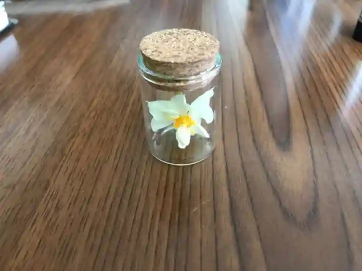 大雄院のその他建物