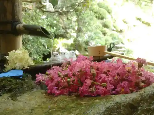 柳谷観音　楊谷寺の手水舎