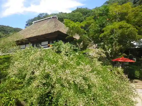 海蔵寺の庭園