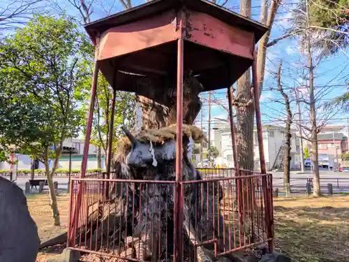 神明大神（中丸子神社）(神奈川県)