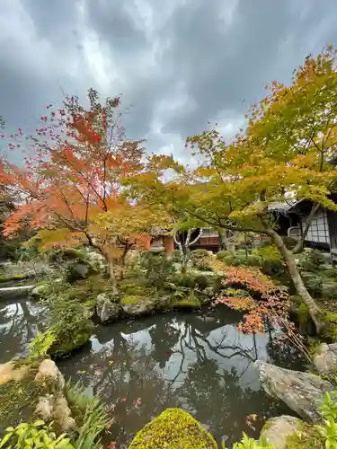 當麻寺中之坊の庭園