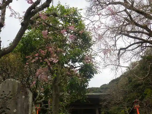 荏柄天神社のその他建物