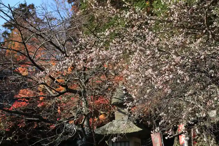 鹿島大神宮のその他建物