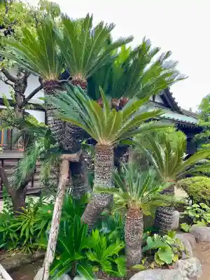 本瑞寺(神奈川県)