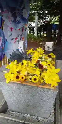 札幌諏訪神社の手水舎