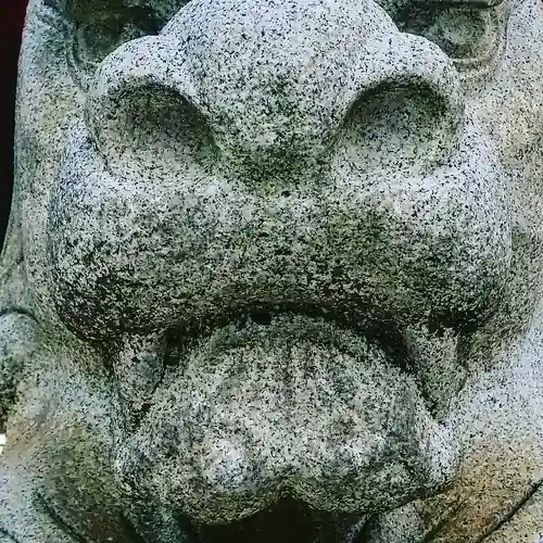 神田神社（神田明神）の狛犬