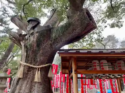 楠珺社（住吉大社末社）(大阪府)
