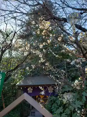 阿佐ヶ谷神明宮(東京都)