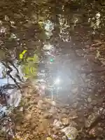 瀧原宮(皇大神宮別宮)の{uncategorized: "未分類", other: "その他", undefined: "問題あり", building: "その他建物", grave: "お墓", sacred_gate: "鳥居", guardian: "狛犬", statue: "像", buddha: "仏像", history: "歴史", nature: "自然", garden: "庭園", animal: "動物", pagoda: "塔", temizu: "手水舎", mountain_gate: "山門・神門", sanctuary: "本殿・本堂", subordinate: "末社・摂社", art: "芸術", scenery: "景色", jizo: "地蔵", ema: "絵馬", goshuin: "御朱印", omikuji: "おみくじ", items: "授与品その他", amulet: "お守り", goshuincho: "御朱印帳", eats: "食事", festival: "お祭り", votive_dance: "神楽", shichigosan: "七五三参", wedding: "結婚式", experience: "体験その他", initially: "初詣", around: "周辺", anti_infection: "感染症対策"}