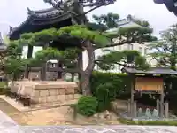 願成就寺 安楽院のその他建物